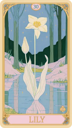 百合 · Lilies